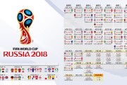 乌克兰队力挫对手，坚定走进欧洲杯正赛，乌克兰欧洲杯比赛记录