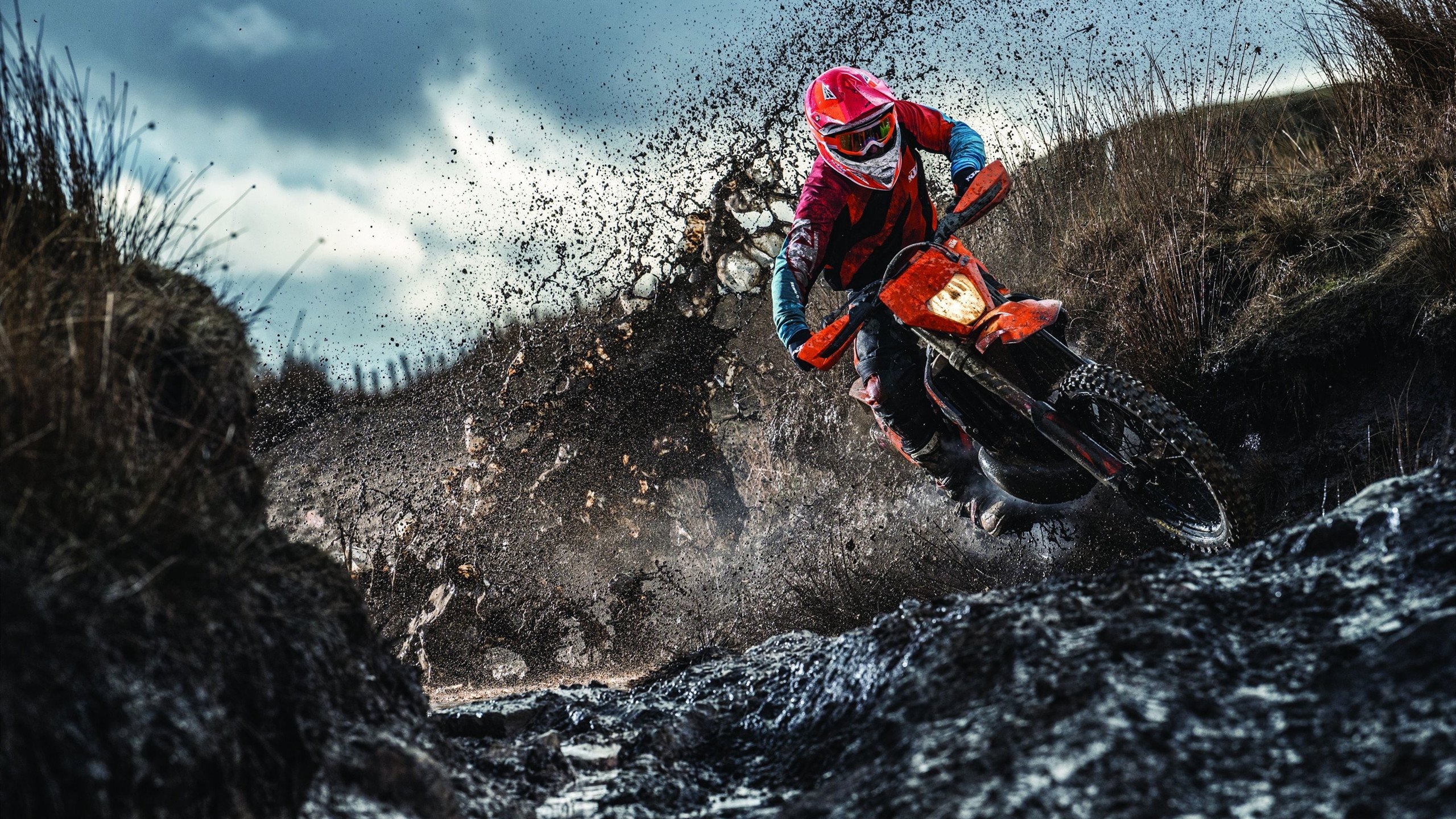 《微软收购XEG战队，电竞巨头布局全球市场》，微软 收购